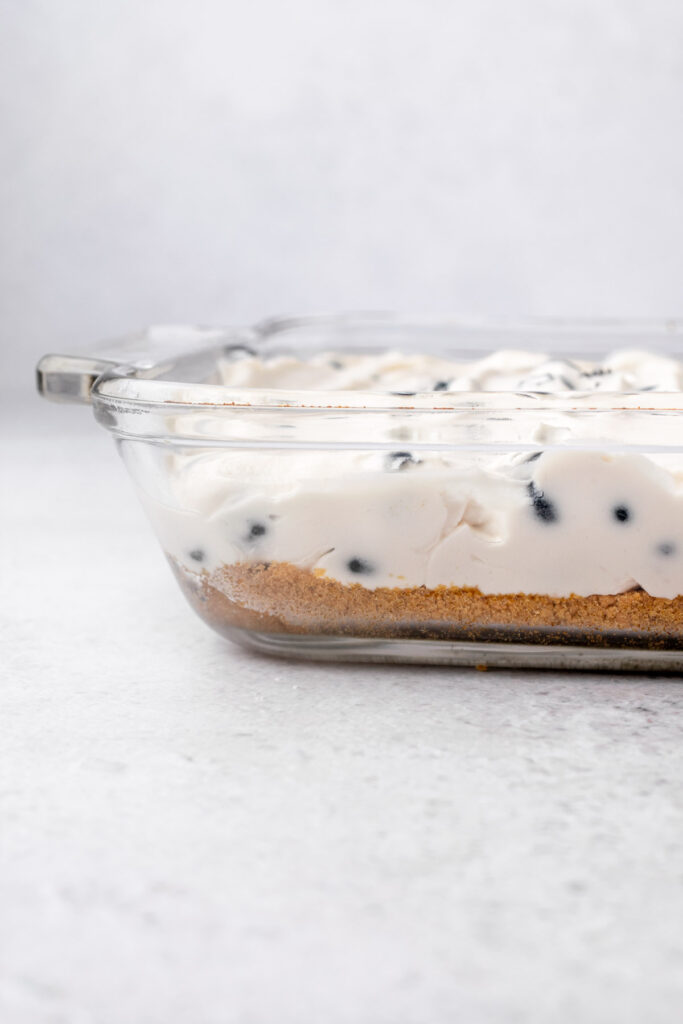 side view of the cheesecake through the glass pan