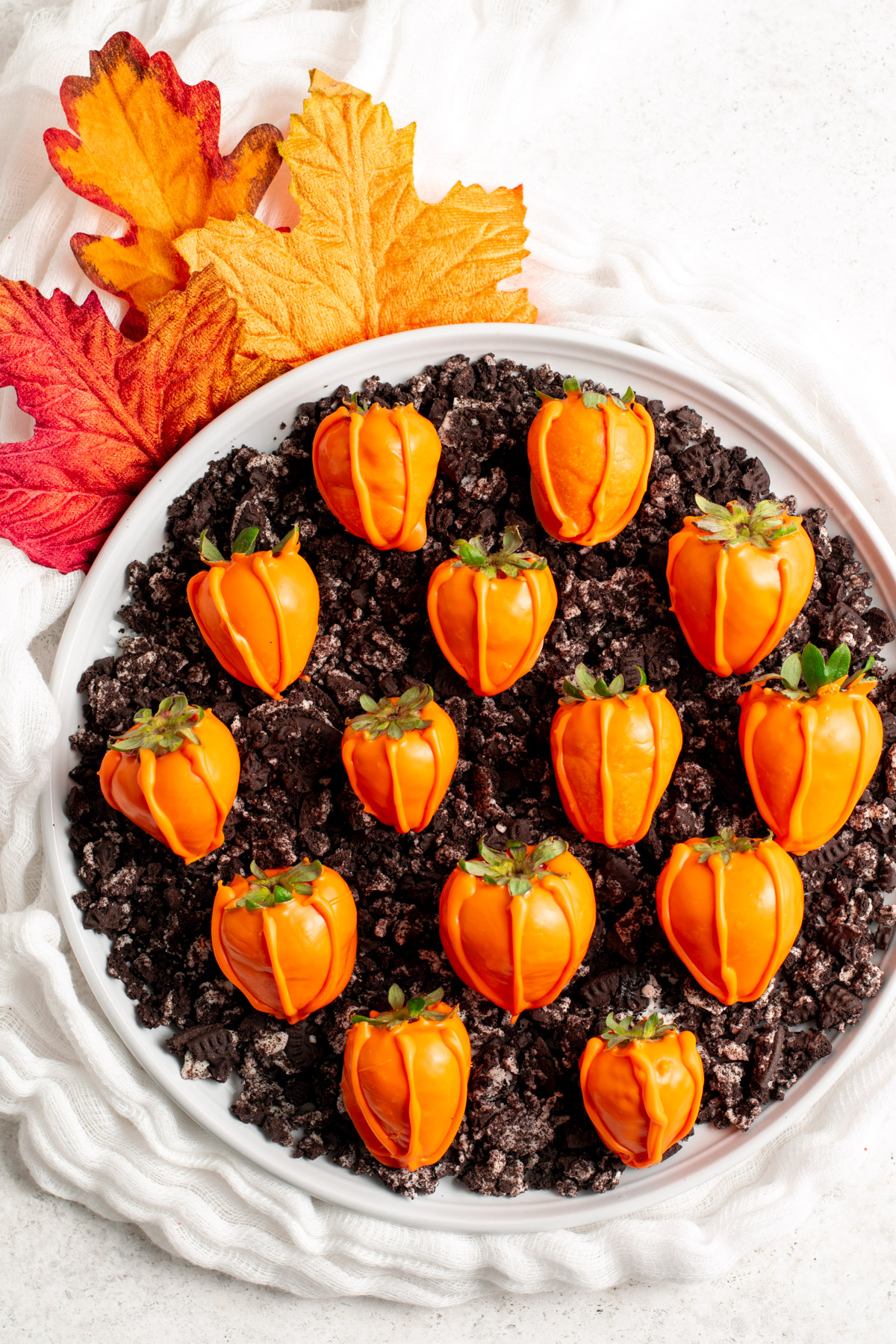 top view of chocolate covered strawberry pumpkins on top of crushed oreos.