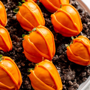 close up of chocolate covered strawberry pumpkin patch.