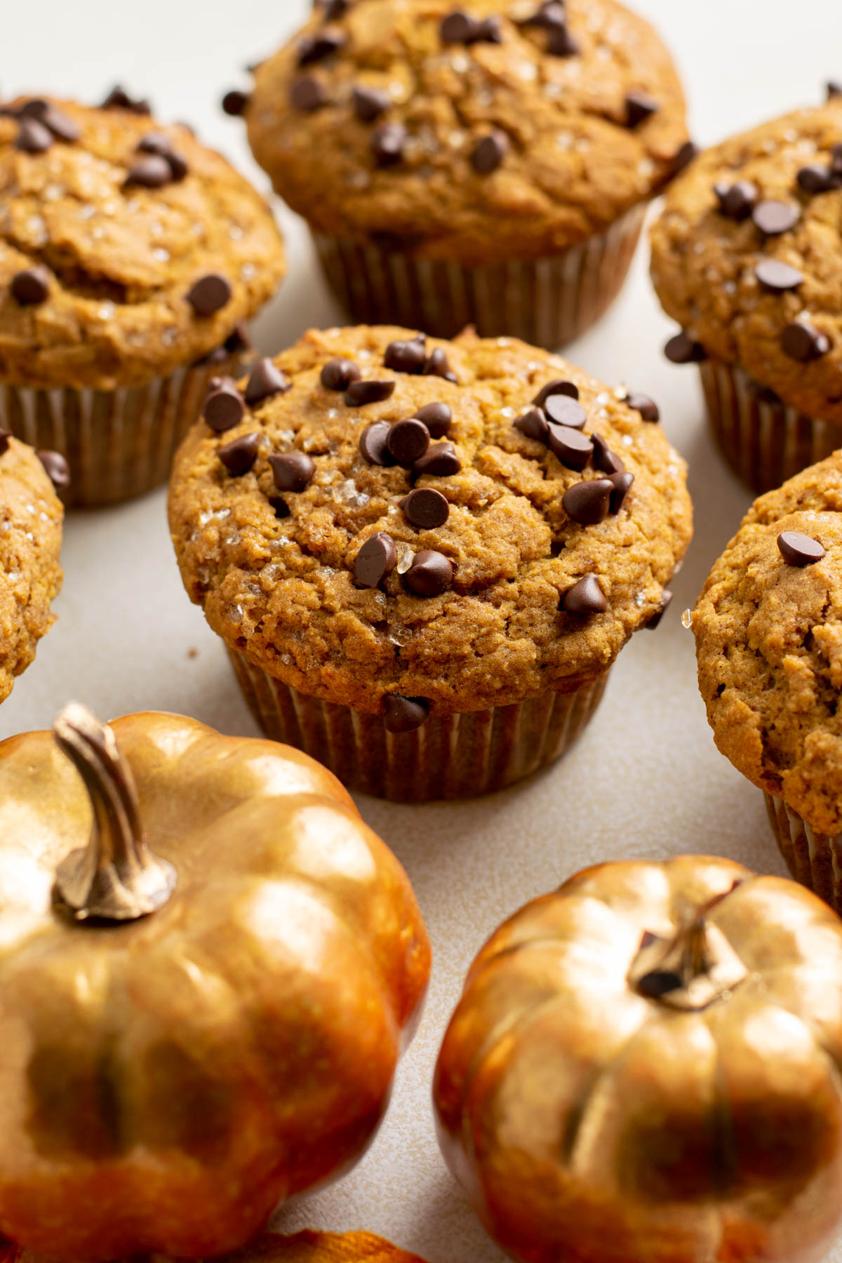 pumpkin banana muffins with chocolate chips on top.