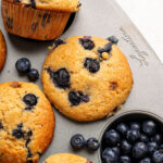 blueberry muffins in a muffin tin with blueberries.