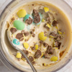mini egg protein ice cream in the ninja creami.