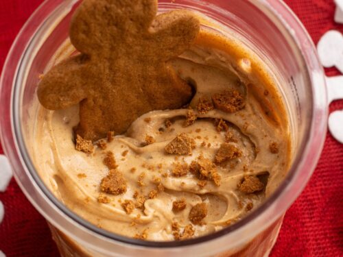 Gingerbread Protein Ice Cream (Ninja Creami) - Olivia's Kitchen