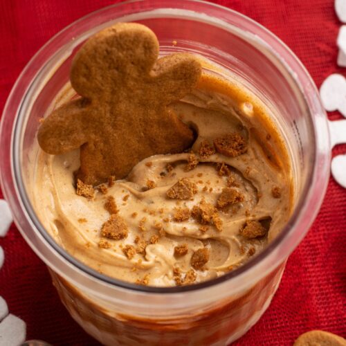 Gingerbread Protein Ice Cream (Ninja Creami) - Olivia's Kitchen