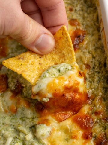 tortilla chip scooping protein spinach artichoke dip.